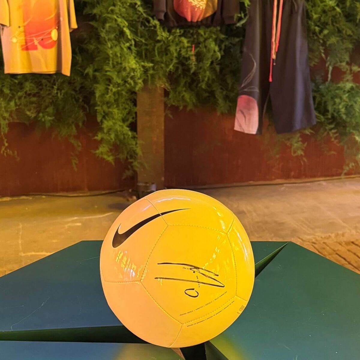 Nike focilabda
